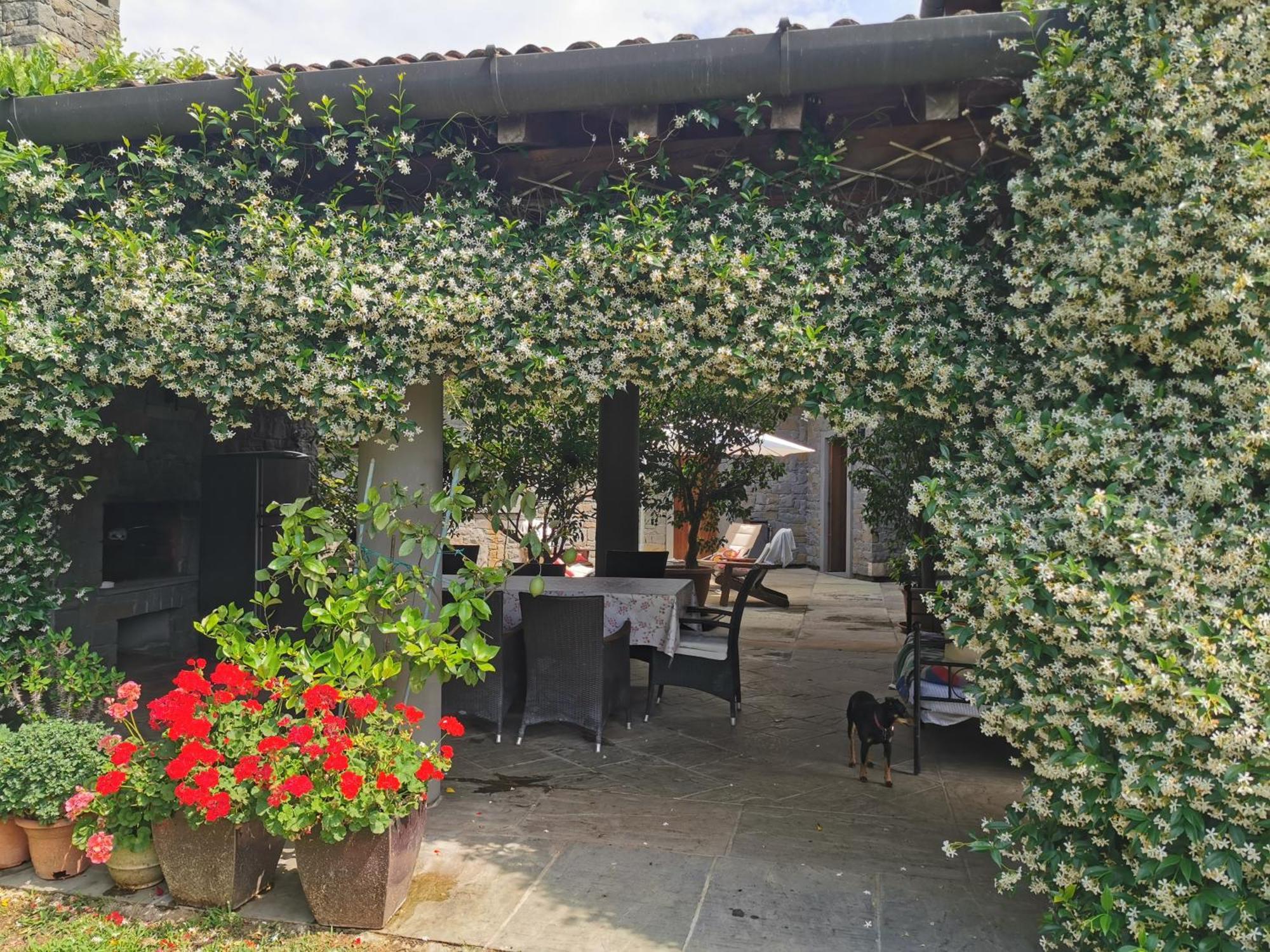 B&B Villa Melograno Pontoglio エクステリア 写真